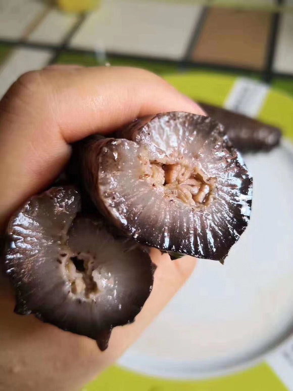 希腊大号刺参